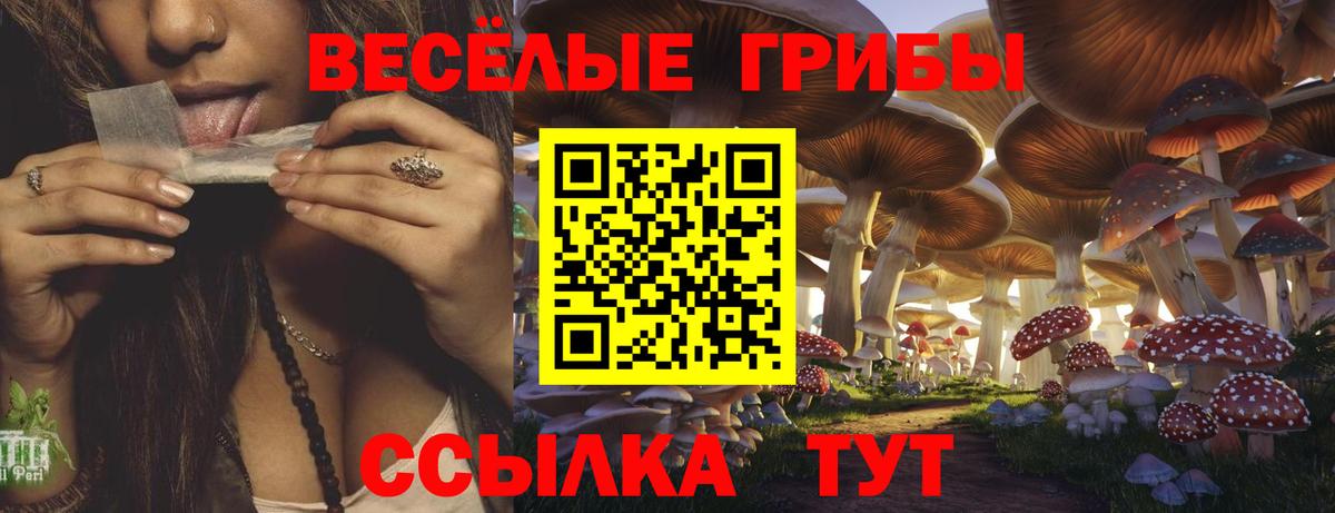 Зима  Галлюциногенные грибы Cubensis  Галлюциногенные грибы мицелий  Вход с VPN 