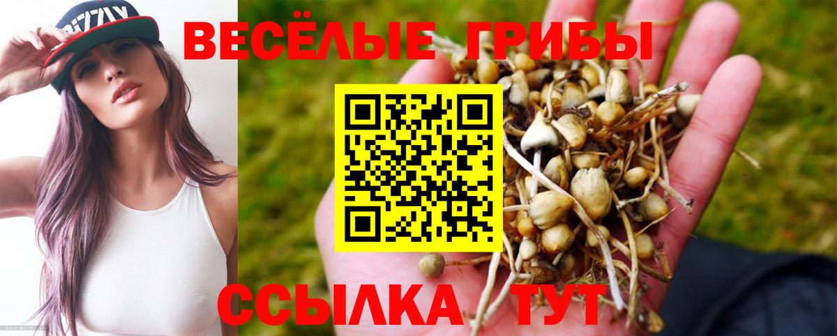 Галлюциногенные грибы мухоморы Зима