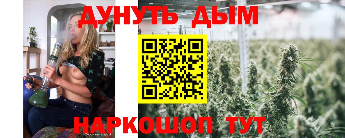 Канабис MAZAR Зима